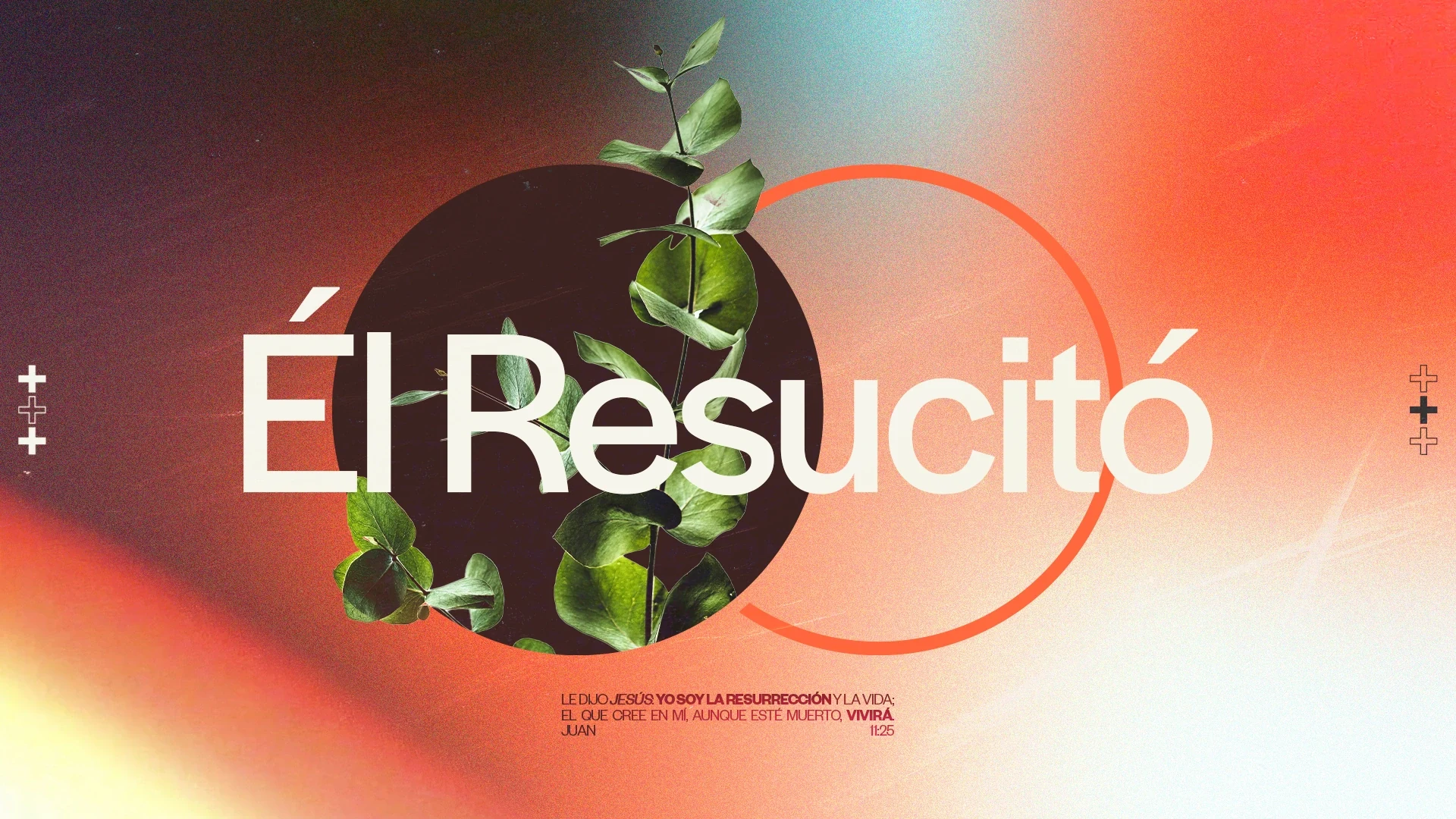 Diseño Él resucitó, con una planta y luz naranja.
